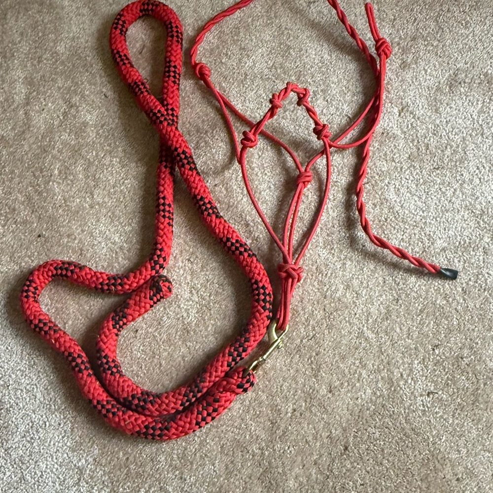 Red horse halter